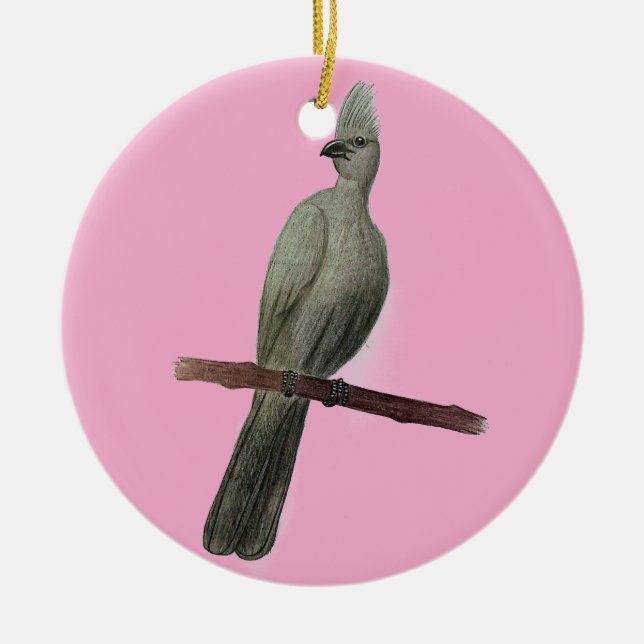 Ornamento De Cerâmica desenho de lápis de pássaros para fora de cinza (Frente)