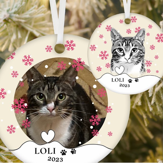 Ornamento De Cerâmica Desenho de Mão Personalizada do Tabby Cat (Criador carregado)