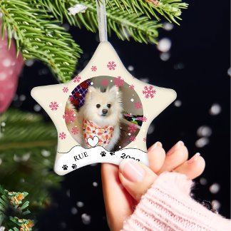 Ornamento De Cerâmica Desenho de Mão Personalizado do Cachorro Spitz Ale