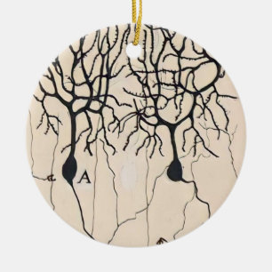 Ornamento De Cerâmica Desenho De Vintage Neuron Por Santiago Ramón y Ca