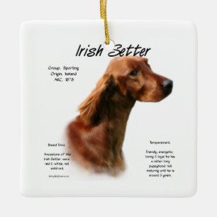 Ornamento De Cerâmica Design do Irish Setter History