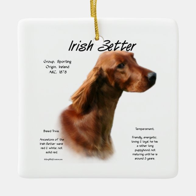 Ornamento De Cerâmica Design do Irish Setter History (Frente)