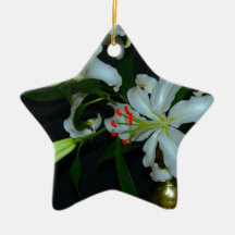 Design Irlandês - Coleção Brass e Flor