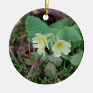 Ornamento De Cerâmica Design Natural