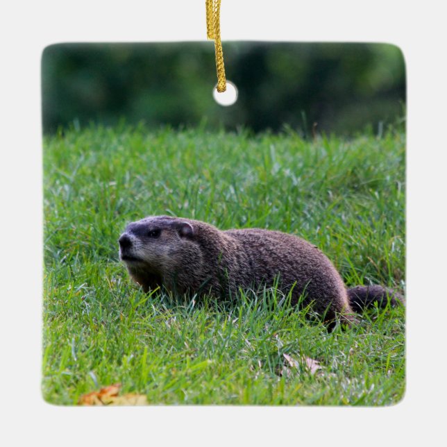 Ornamento De Cerâmica Devil's Hole Digger (Frente)