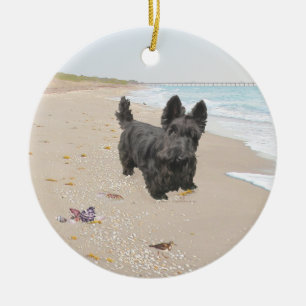 Ornamento De Cerâmica Dia da Praia