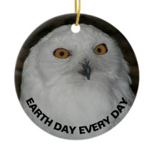 Dia da Terra Todos os Dias Snowy Owl