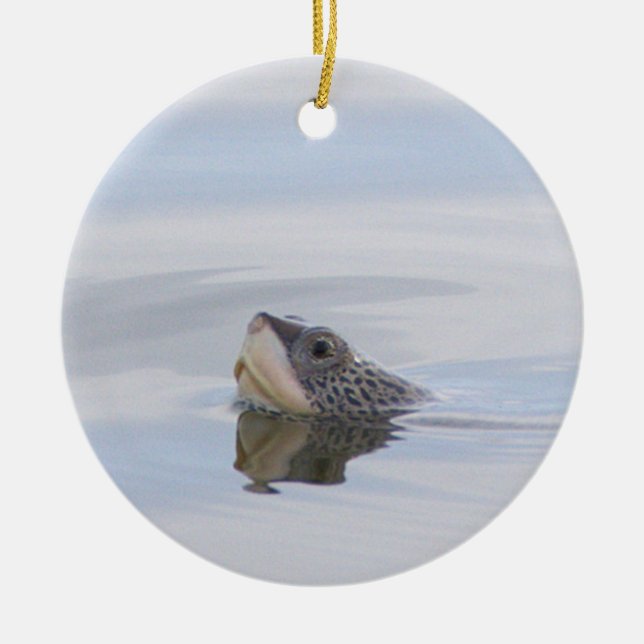 Ornamento De Cerâmica Diamondback Terrapin Turtle Face Ornament  (Frente)