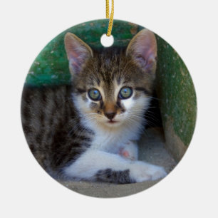 Ornamento De Cerâmica Doce Gato De Bebê