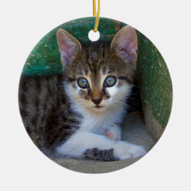 Ornamento De Cerâmica Doce Gato De Bebê (Frente)