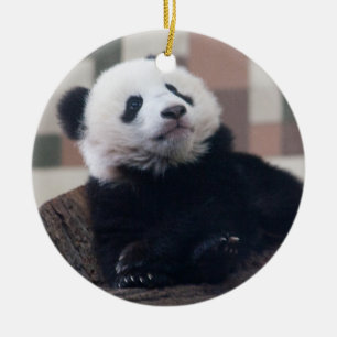 Ornamento De Cerâmica Doce Giant Panda Baby