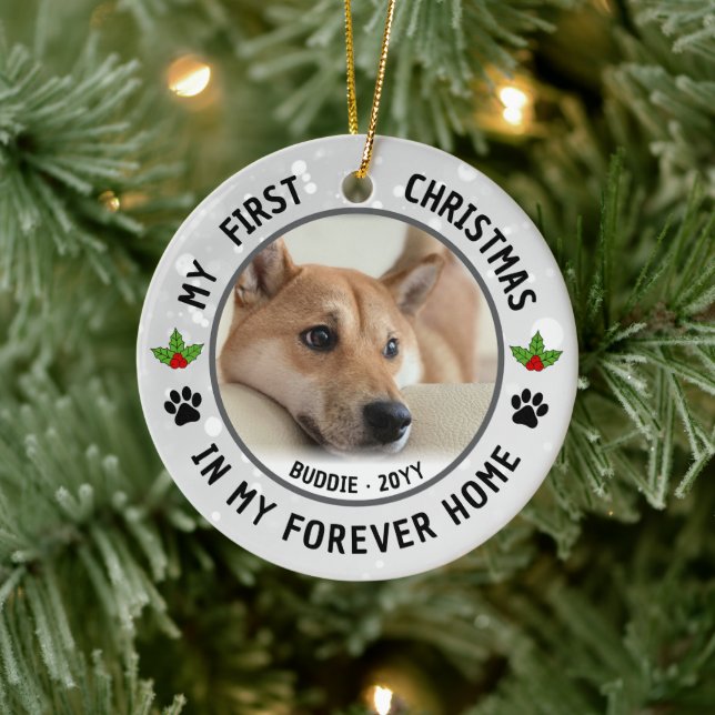 Ornamento De Cerâmica Dog Puppies Cat Pet Photo First Christmas Keepsake (Árvore)