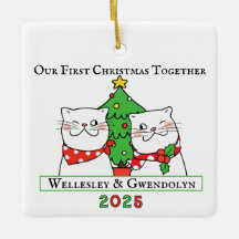 Dois Gatos Primeiro Natal Juntos