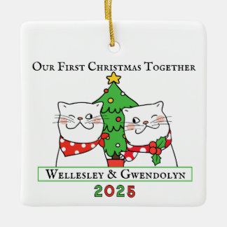 Ornamento De Cerâmica Dois Gatos Primeiro Natal Juntos