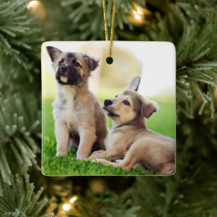 Ornamento De Cerâmica Dois German shepherd
