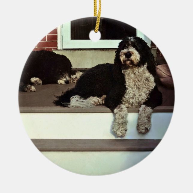 Ornamento De Cerâmica Dois Sheepadoodles Na Porca (Frente)