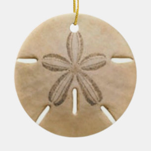 Ornamento De Cerâmica Dólar de areia