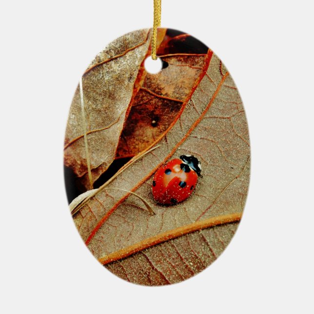 Ornamento De Cerâmica donativo personalizado de Ladybug personalizado de (Frente)