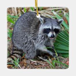 Ornamento De Cerâmica Don't Mind Me, Just Passing Through