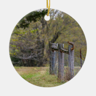 Ornamento De Cerâmica Dose de cerca de esquilo