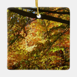 Ornamento De Cerâmica Dose de Folhas de Outono I Natureza de Outono Amar
