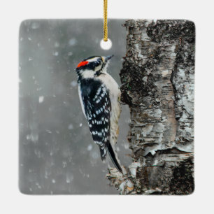 Ornamento De Cerâmica Downy Woodpecker em Neve - Foto Original