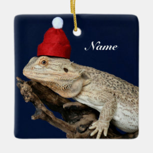 Ornamento De Cerâmica Dragão Carborado Personalizado Lizard - Santa Chap