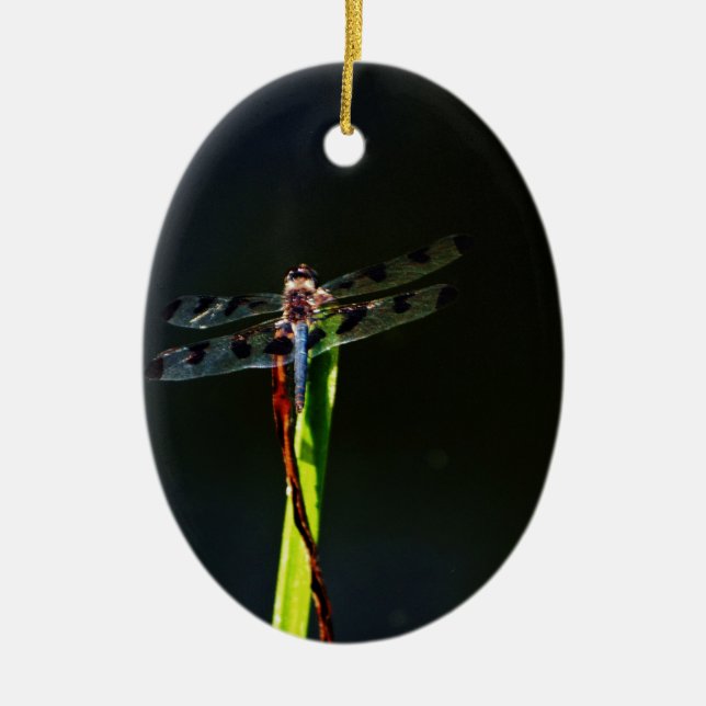 Ornamento De Cerâmica Dragonfly azul e preta sobre a grama verde e verme (Frente)