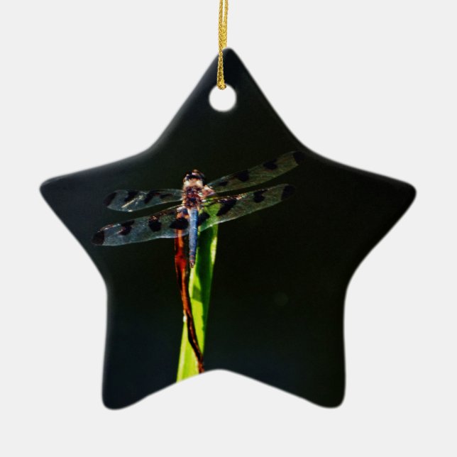 Ornamento De Cerâmica Dragonfly azul e preta sobre a grama verde e verme (Frente)