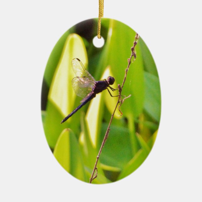 Ornamento De Cerâmica Dragonfly Blue e preto na grama. (Frente)