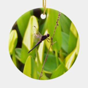 Ornamento De Cerâmica Dragonfly Blue e preto na grama.