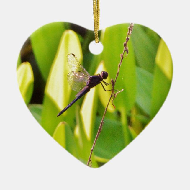Ornamento De Cerâmica Dragonfly Blue e preto na grama. (Frente)