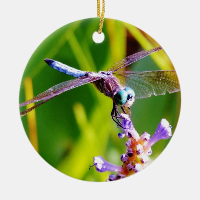 Ornamento De Cerâmica Dragonfly Teal & Purple (Frente)