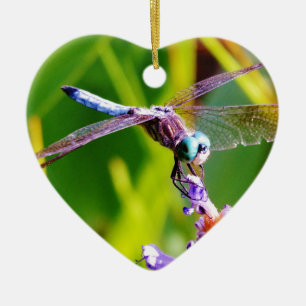 Ornamento De Cerâmica Dragonfly Teal & Purple