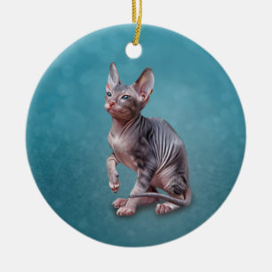 Ornamento De Cerâmica Drawing Sphynx kitten