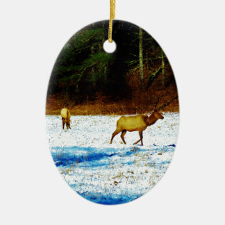 ORNAMENTO DE CERÂMICA DSC00131.JPG