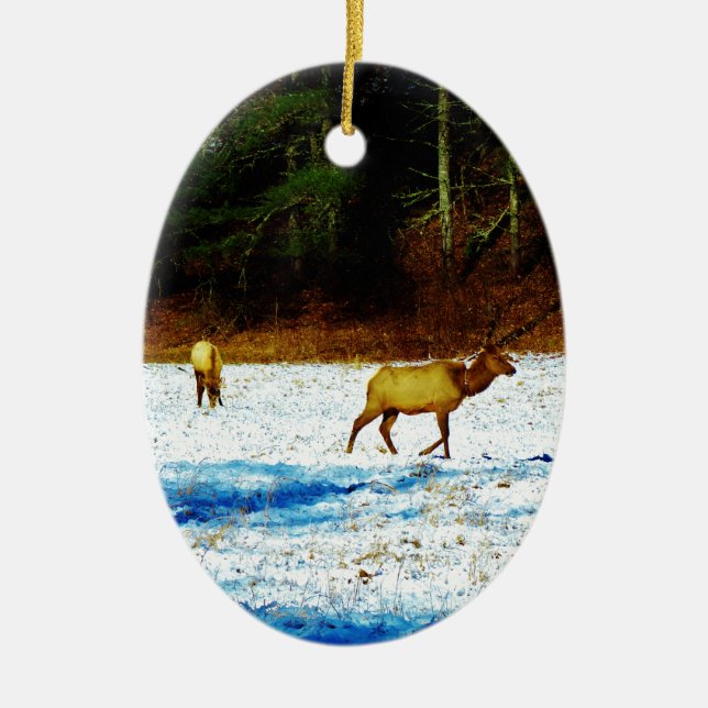 ORNAMENTO DE CERÂMICA DSC00131.JPG (Frente)