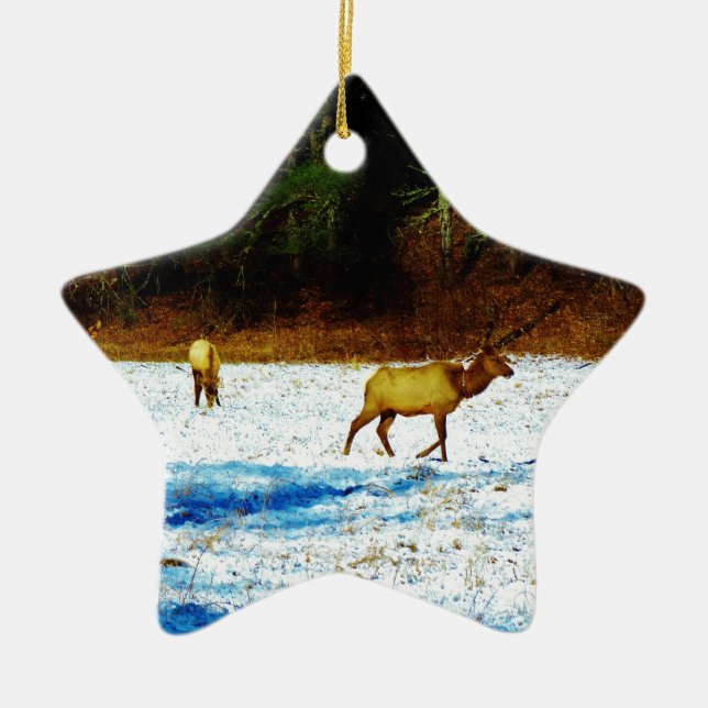 ORNAMENTO DE CERÂMICA DSC00131.JPG (Frente)