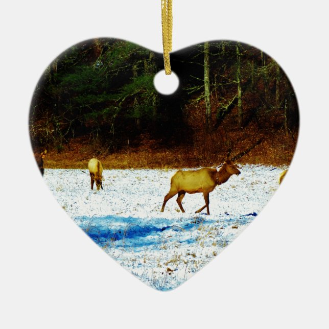 ORNAMENTO DE CERÂMICA DSC00131.JPG (Frente)