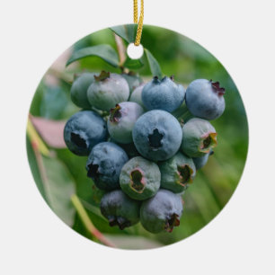 ORNAMENTO DE CERÂMICA DSC_4190