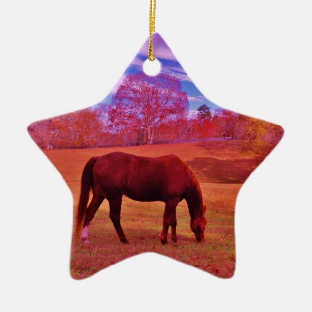 ORNAMENTO DE CERÂMICA DSCF0536.JPG (Frente)