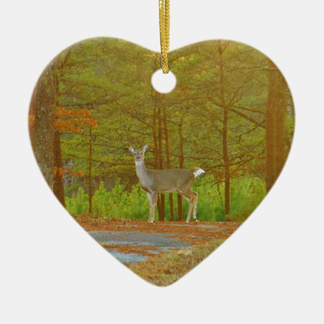 ORNAMENTO DE CERÂMICA DSCF4041.JPG (Frente)