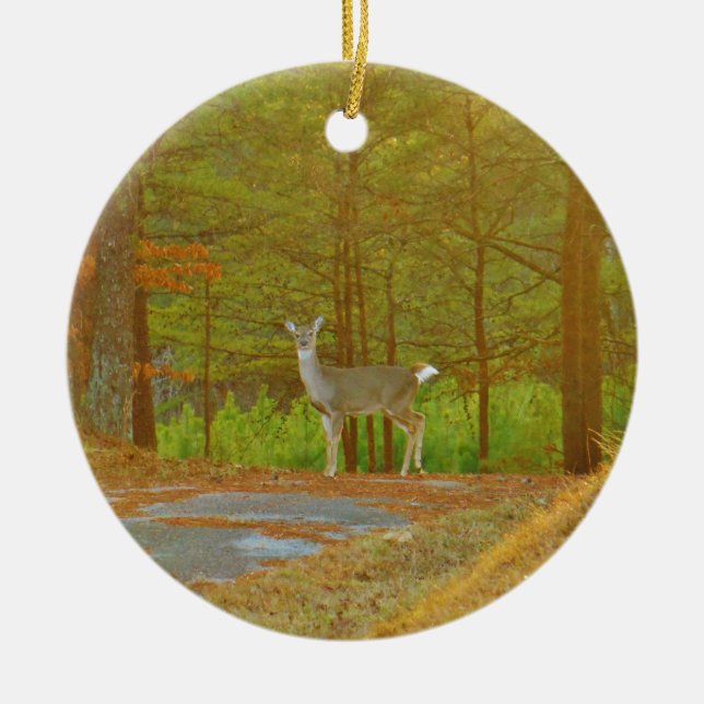 ORNAMENTO DE CERÂMICA DSCF4041.JPG (Frente)