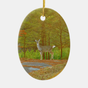 ORNAMENTO DE CERÂMICA DSCF4041.JPG