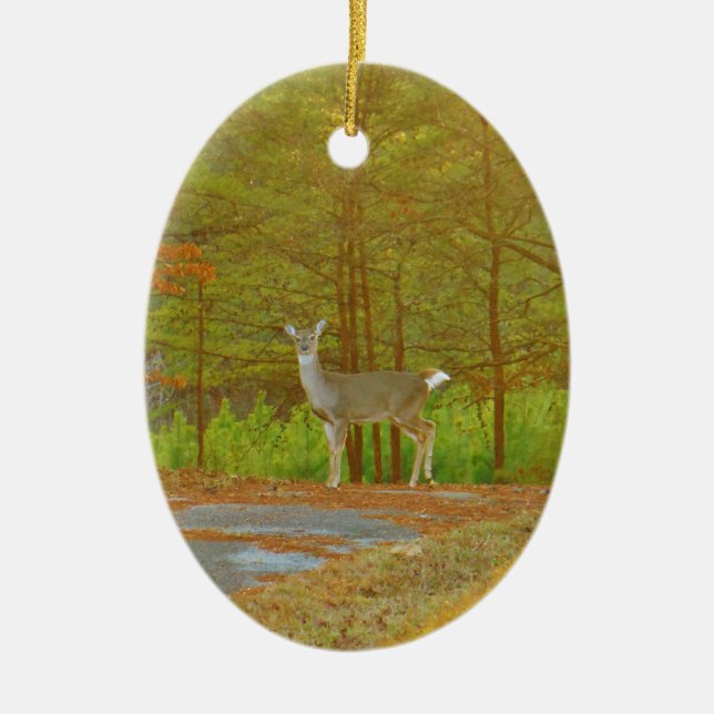 ORNAMENTO DE CERÂMICA DSCF4041.JPG (Frente)