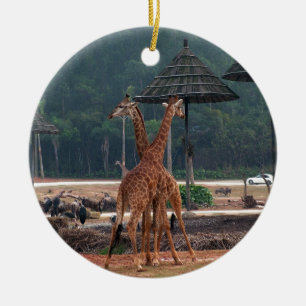Ornamento De Cerâmica Duas girafas se confortando num zoológico