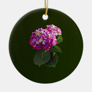 Ornamento De Cerâmica Duas Hidrangas Rosa