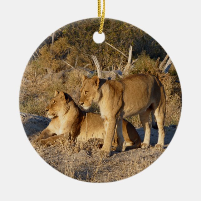 ORNAMENTO DE CERÂMICA DUAS LEOAS JUNTAS (Frente)