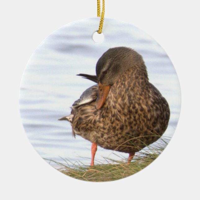 Ornamento De Cerâmica Duck Photo Ornament  (Frente)