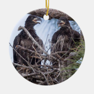 Ornamento De Cerâmica E10 & E11Ornament